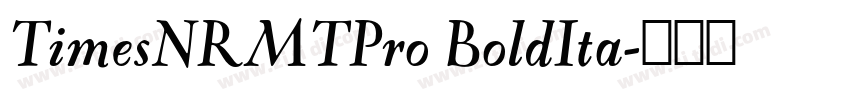 TimesNRMTPro BoldIta字体转换